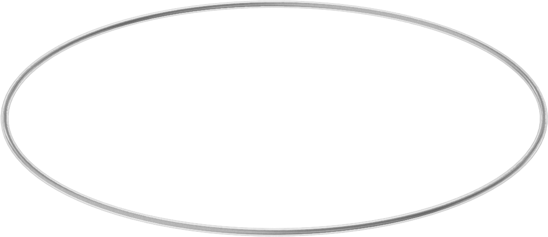 Viton® Floroelastomer O-Ring, Ultra Kimyasal Dirençli, FEP Kaplı, Dash No. 049