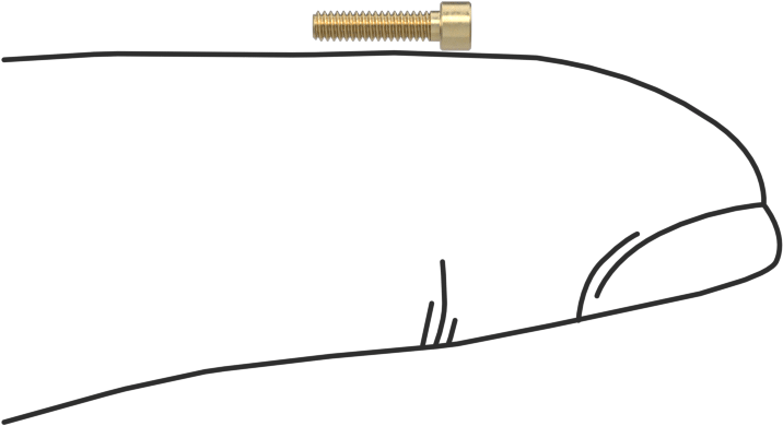 Pirinç Soket Başlı Vida, 0-80 Diş Boyutu, 1/4" Uzunluk