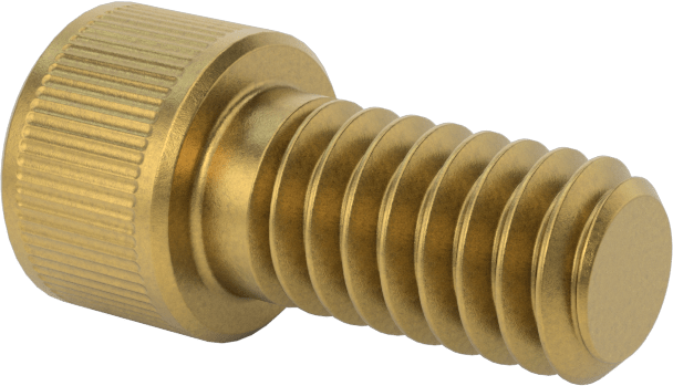 Pirinç Soket Başlı Vida, 1/4"-20 Diş Boyutu, 1/2" Uzunluk