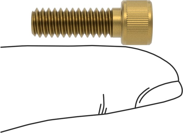 Pirinç Soket Başlı Vida, 1/4"-20 Diş Boyutu, 3/4" Uzunluk