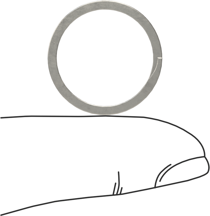 Spiral Dış Tutma Halkası, 3/4" dış çap için, 18-8 Paslanmaz Çelik