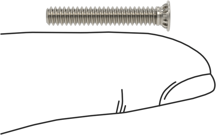 Pres Geçmeli Saplamalar, 18-8 Paslanmaz Çelik, 6-32 Diş, 7/8" Uzunluk, PEM® Fhs-632-14