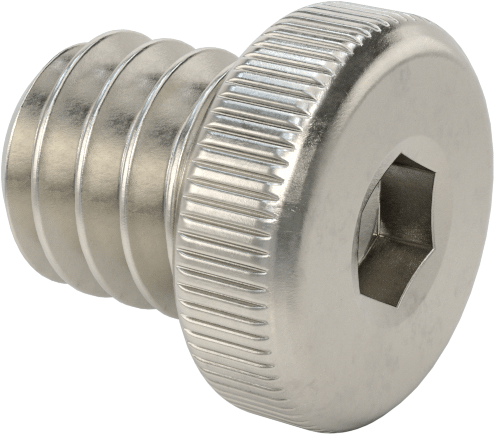 18-8 Paslanmaz Çelik Düşük Profilli Soket Başlı Vida, Altıgen Tahrikli, 1/4"-20 Diş Boyutu, 1/4" Uzunluk