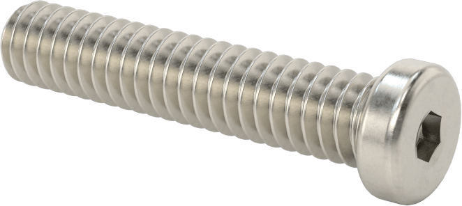 18-8 Paslanmaz Çelik Düşük Profilli Soket Başlı Vida, Altıgen Tahrikli, 1/4"-20 Diş Boyutu, 1-1/4" Uzunluk