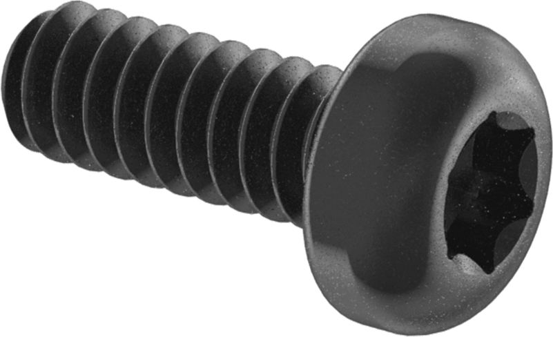 Çelik Silindir Başlı Torx Vidalar, Siyah Korozyona Dayanıklı Kaplamalı, 00-90 Diş, 1/8" Uzunluk