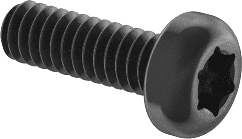 Çelik Silindir Başlı Torx Vidalar, Siyah Korozyona Dayanıklı Kaplamalı, 0-80 Diş, 3/16" Uzunluk
