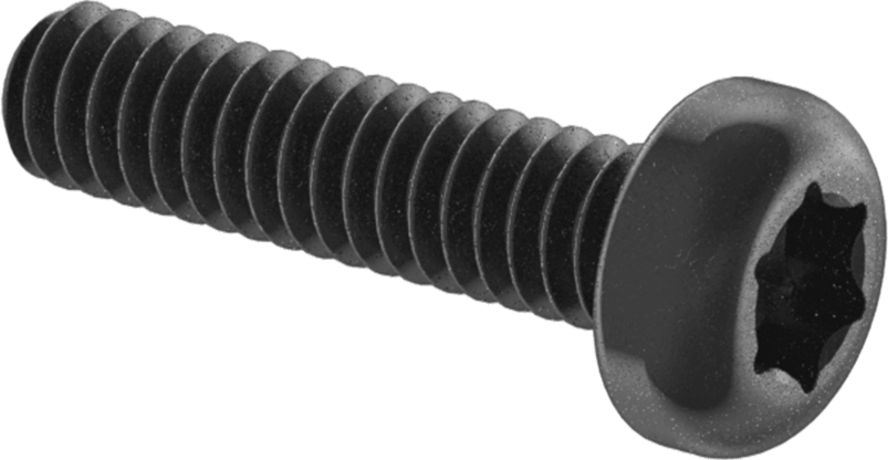 Çelik Silindir Başlı Torx Vidalar, Siyah Korozyona Dayanıklı Kaplamalı, 0-80 Diş Boyutu, 1/4" Uzunluk