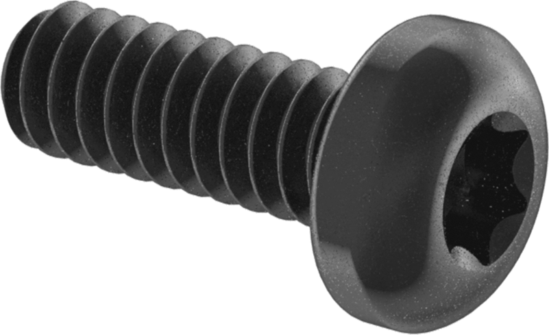 Çelik Silindir Başlı Torx Vidalar, Siyah Korozyona Dayanıklı Kaplamalı, 4-40 Diş, 5/16" Uzunluk