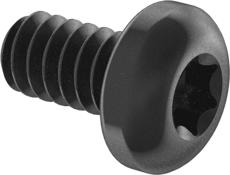 Çelik Silindir Başlı Torx Vidalar, Siyah Korozyona Dayanıklı Kaplamalı, 6-32 Diş Boyutu, 1/4" Uzunluk