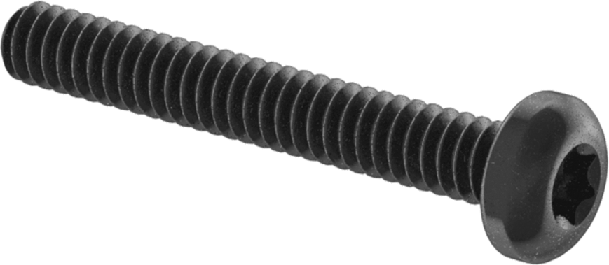 Çelik Silindir Başlı Torx Vidalar, Siyah Korozyona Dayanıklı Kaplamalı, 6-32 Diş Boyutu, 1" Uzunluk