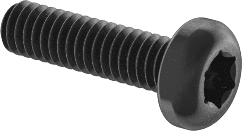 Çelik Silindir Başlı Torx Vidalar, Siyah Korozyona Dayanıklı Kaplamalı, 8-32 Diş Boyutu, 5/8" Uzunluk