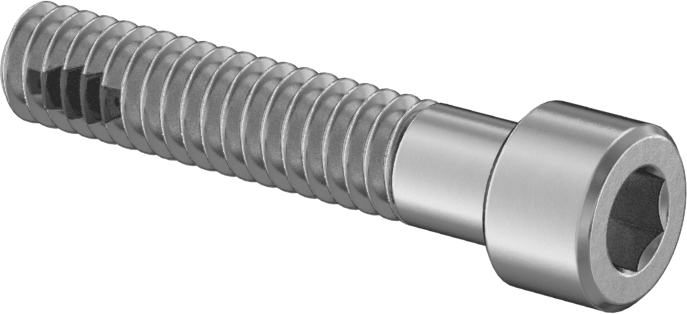 18-8 Paslanmaz Çelik Diş Kilitlemeli Soket Başlı Vida, 1/4"-20 Diş Boyutu, 1-1/4" Uzunluk