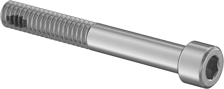 18-8 Paslanmaz Çelik Diş Kilitlemeli Soket Başlı Vida, 1/4"-20 Diş Boyutu, 2" Uzunluk