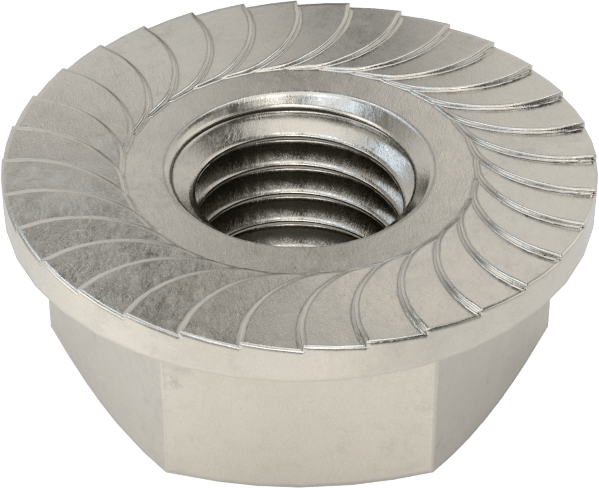 18-8 Paslanmaz Çelik Tırtıklı Flanş Somunları, 1/4"-28 Diş Boyutu