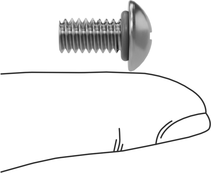 Titreşime Dayanıklı Sızdırmaz Yuvarlak Başlı Vidalar, 1/4"-20 Diş Boyutu, 1/2" Uzunluk
