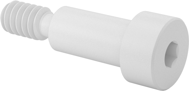 Naylon Omuzlu Vidalar, 1/4" Omuz Çapı, 1/2" Omuz Uzunluğu, 10-24 Diş