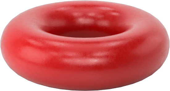 Yüksek Sıcaklık Silikon O-Ringler, Parker S1138, 1/16 Kesirli Genişlik, Dash Numarası 005