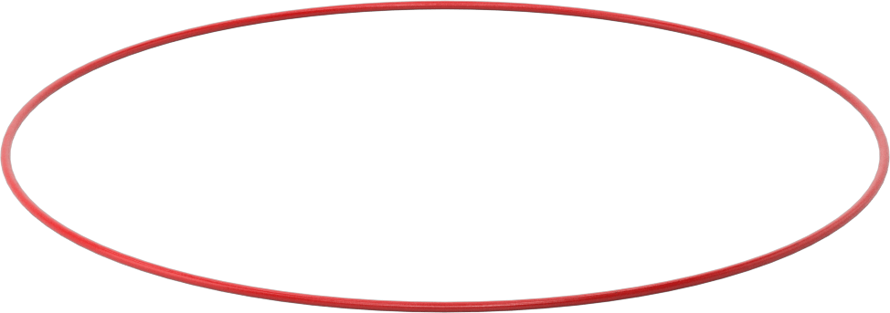 Yüksek Sıcaklık Silikon O-Ringler, Parker S1138, 1/16 Kesirli Genişlik, Dash No. 055