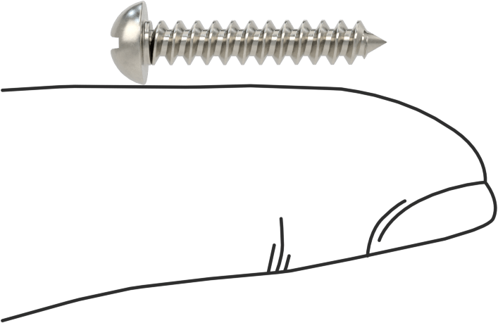 Sac Metal için Dekoratif Yuvarlak Başlı Vidalar, 18-8 Paslanmaz Çelik, Numara 6 Boyut, 3/4" Uzunluk