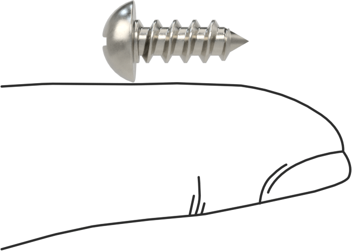Sac Metal için Dekoratif Yuvarlak Başlı Vidalar, 18-8 Paslanmaz Çelik, 10 Numaralı Boyut, 1/2" Uzunluk