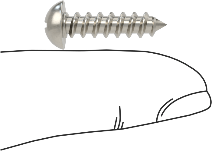 Sac Metal için Dekoratif Yuvarlak Başlı Vidalar, 18-8 Paslanmaz Çelik, 10 Numaralı Boyut, 3/4" Uzunluk