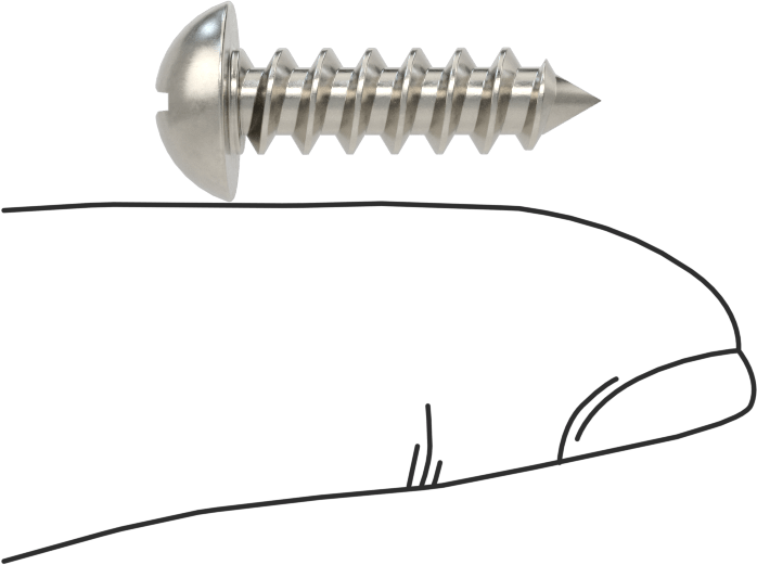 Sac Metal için Dekoratif Yuvarlak Başlı Vidalar, 18-8 Paslanmaz Çelik, 12 Numaralı Boyut, 3/4" Uzunluk