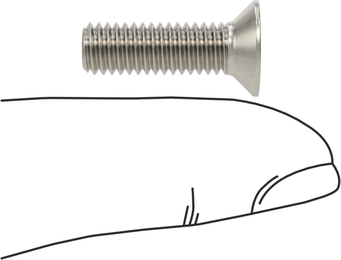Kurcalamaya Dayanıklı Delikli Anahtarlı Düz Başlı Vidalar, 18-8 Paslanmaz Çelik, M6 x 1 mm Diş Boyutu, 20 mm Uzunluk