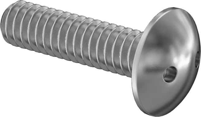 Kurcalamaya Dayanıklı Delikli Anahtarlı Truss Başlı Vidalar, Ekstra Geniş, 1/4"-20 Diş, 1" Uzunluk