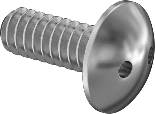 Kurcalamaya Dayanıklı Delikli Anahtarlı Truss Başlı Vidalar, Ekstra Geniş, 6-32 Diş, 3/8" Uzunluk