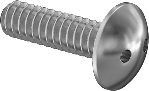 Kurcalamaya Dayanıklı Delikli Anahtarlı Truss Başlı Vidalar, Ekstra Geniş, 6-32 Diş, 1/2" Uzunluk