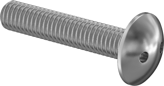 Kurcalamaya Dayanıklı Delikli Anahtarlı Truss Başlı Vidalar, Ekstra Geniş, 10-32 Diş, 1" Uzunluk