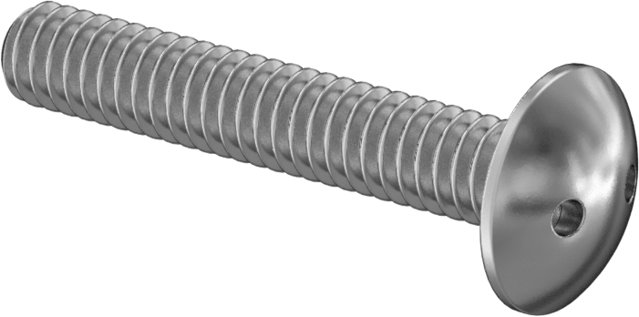 Kurcalamaya Dayanıklı Delikli Anahtarlı Truss Başlı Vidalar, Ekstra Geniş, 1/4"-20 Diş, 1-1/2" Uzunluk