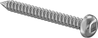 94155A109