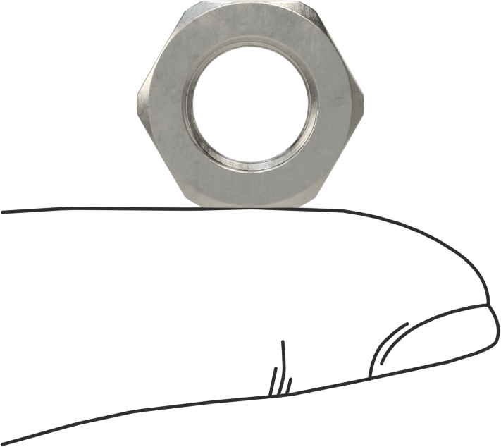 Paslanmaz Çelik Altıgen Panel Somunu, 1/8 NPSM, 3/16" Yükseklik