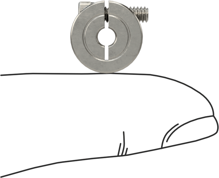 Kelepçeleme Mil Yaka, 1/8" Çap için, 316 Paslanmaz Çelik