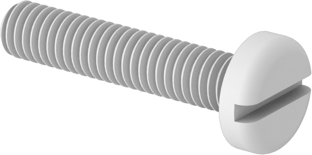 Naylon Silindir Başlı Oluklu Vidalar, M4 x 0,70 mm Diş, 20 mm Uzunluk