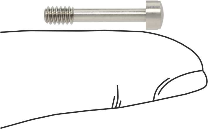 Yuvarlak Başlı Sabit Panel Vidası, 6-32 Diş Boyutu, 3/4" Uzunluk