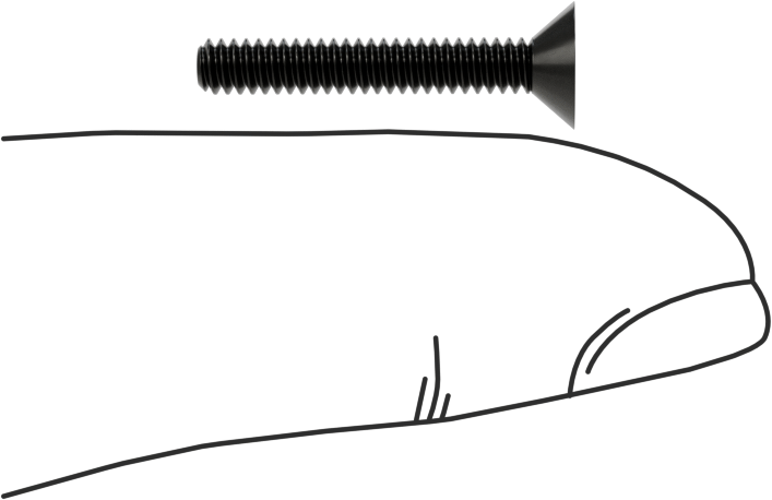 Siyah Oksit Alaşımlı Çelik Torx Düz Başlı Vidalar, 4-40 Diş Boyutu, 3/4" Uzunluk