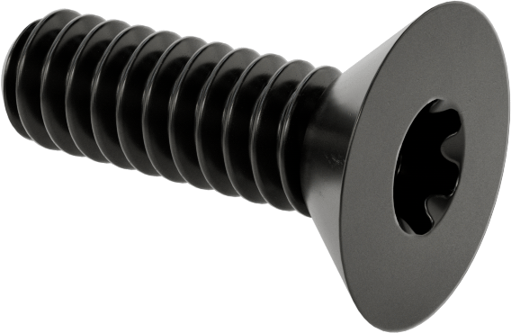 Siyah Oksit Alaşımlı Çelik Torx Düz Başlı Vidalar, 10-24 Diş Boyutu, 5/8" Uzunluk