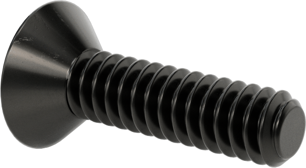 Siyah Oksit Alaşımlı Çelik Torx Düz Başlı Vidalar, 10-24 Diş Boyutu, 3/4" Uzunluk