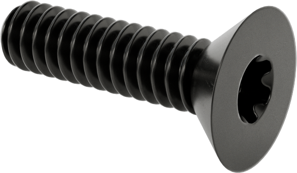 Siyah Oksit Alaşımlı Çelik Torx Düz Başlı Vidalar, 10-24 Diş Boyutu, 3/4" Uzunluk