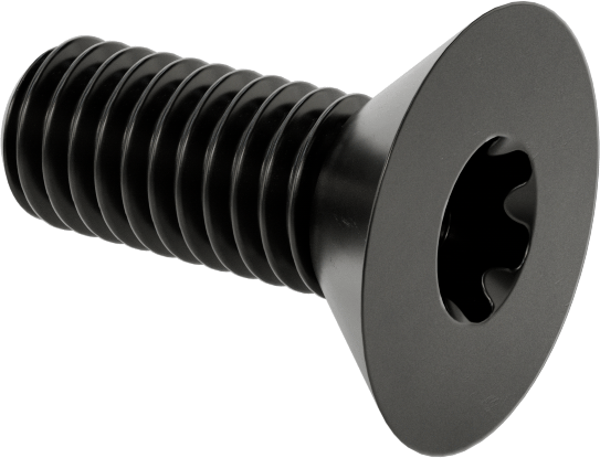 Siyah Oksit Alaşımlı Çelik Torx Düz Başlı Vidalar, 10-32 Diş Boyutu, 1/2" Uzunluk