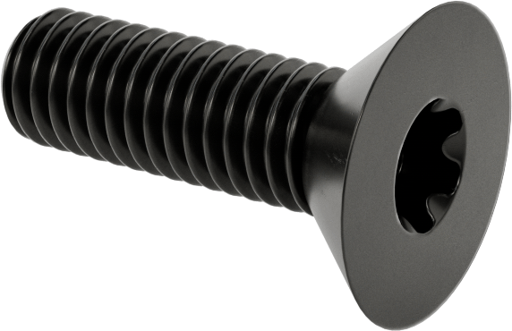 Siyah Oksit Alaşımlı Çelik Torx Düz Başlı Vidalar, 10-32 Diş Boyutu, 5/8" Uzunluk