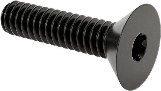 Siyah Oksit Alaşımlı Çelik Torx Düz Başlı Vidalar, 2-56 Diş Boyutu, 3/8" Uzunluk