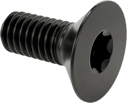 Siyah Oksit Alaşımlı Çelik Torx Düz Başlı Vidalar, M4 x 0,7 mm Diş Boyutu, 10 mm Uzunluk