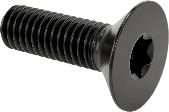 Siyah Oksit Alaşımlı Çelik Torx Düz Başlı Vidalar, M6 x 1 mm Diş Boyutu, 20 mm Uzunluk