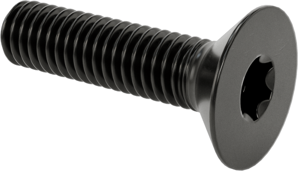 Siyah Oksit Alaşımlı Çelik Torx Düz Başlı Vidalar, M6 x 1 mm Diş Boyutu, 25 mm Uzunluk
