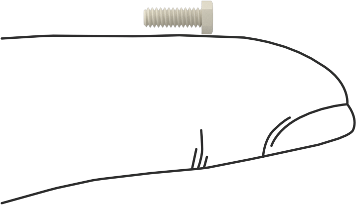 Seramik Altıgen Başlı Vida, 2-56 Diş Boyutu, 1/4" Uzunluk