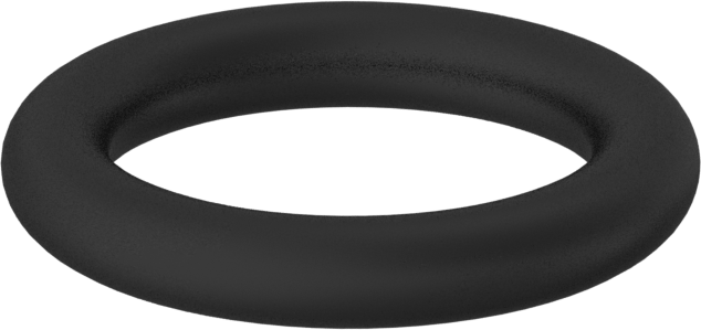 Kimyasallara Dayanıklı Viton® Floroelastomer O-Ring, 1/8 Kesirli Genişlik, Dash Numara 208