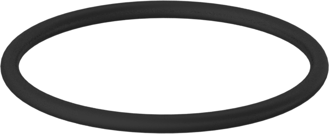 Kimyasallara Dayanıklı Viton® Floroelastomer O-Ring, 1/16 Kesirli Genişlik, Dash Numarası 024